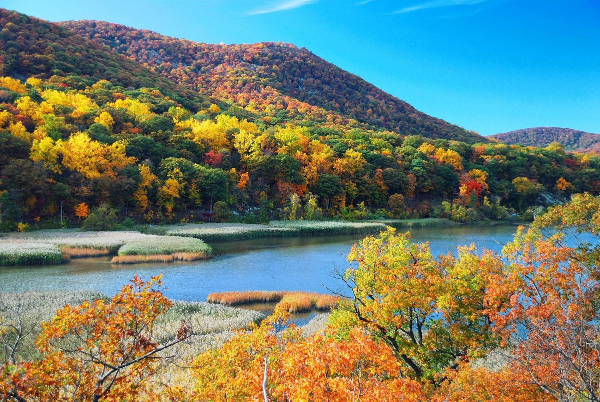 Hotel Hyatt House Fishkill-Poughkeepsie Esterno foto